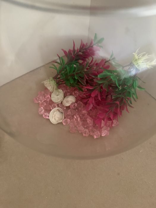 Aquário com decorações