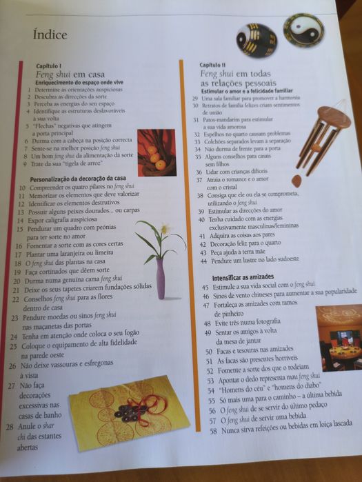 Guia Prático de Feng Shui de Lillian Too