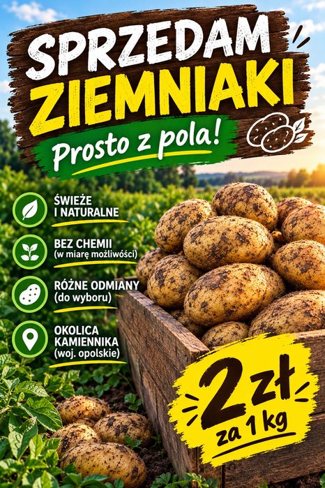 Ziemniaki odmiana Jelly oraz Albertina
