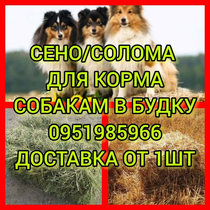 СЕНО В БУДКУ СОБАКАМ в тюках мешках, сіно степное с доставкой.
