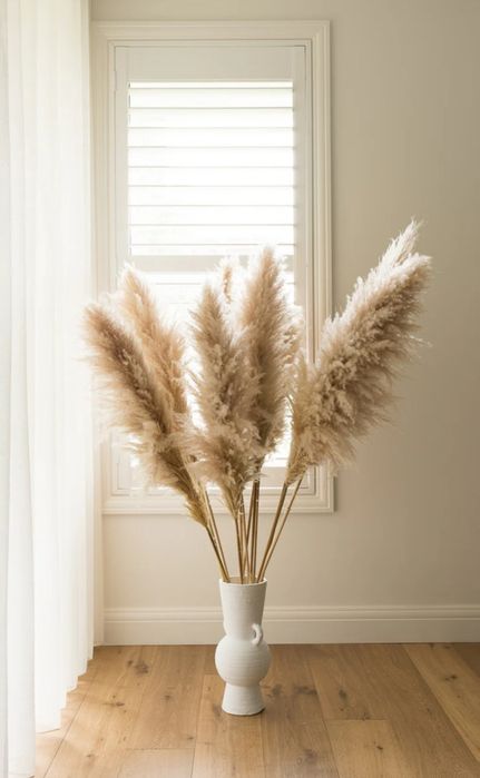 Пампас,Пампасна трава,Камиш,Очерет