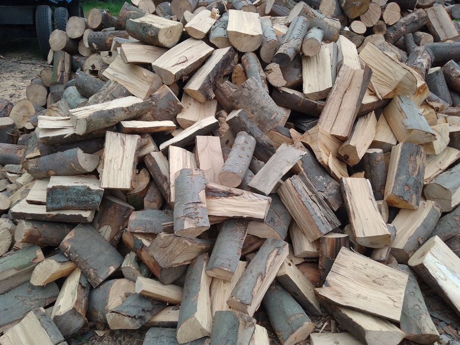 Drewno drzewo kominkowe, opałowe-TRANSPORT GRATIS