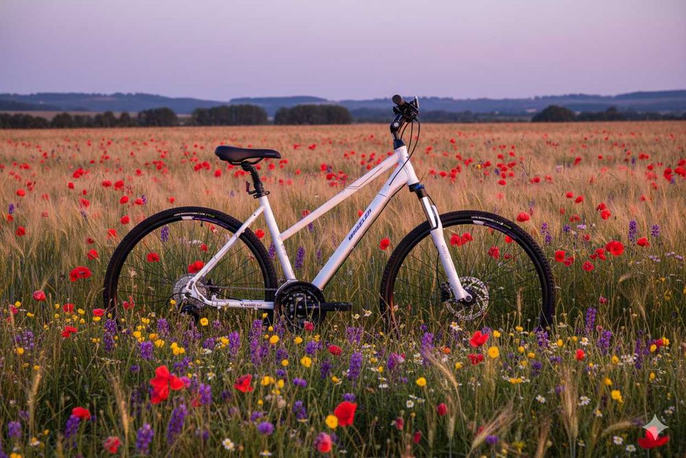 Rower crossowy Wheeler Cross 6.3 rama 44\48cm koło 28" biały lady