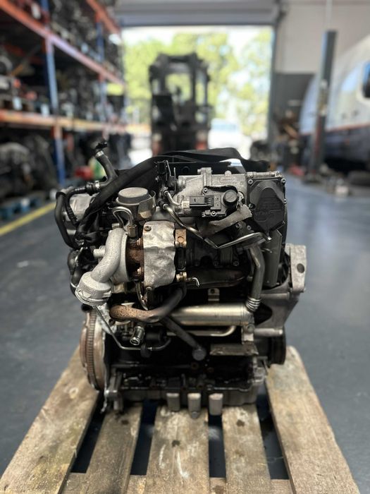 Motor VW/Audi/Skoda 1.9 TDI 105cv BLS