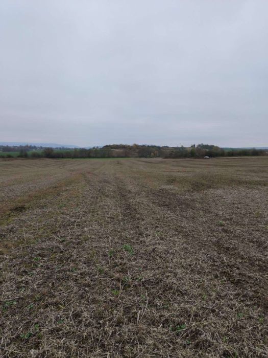 Продаж земельної ділянки, с.Глуховичі, 10 сот.,БЕЗ КОМІСІЇ ДЛЯ ПОКУПЦЯ