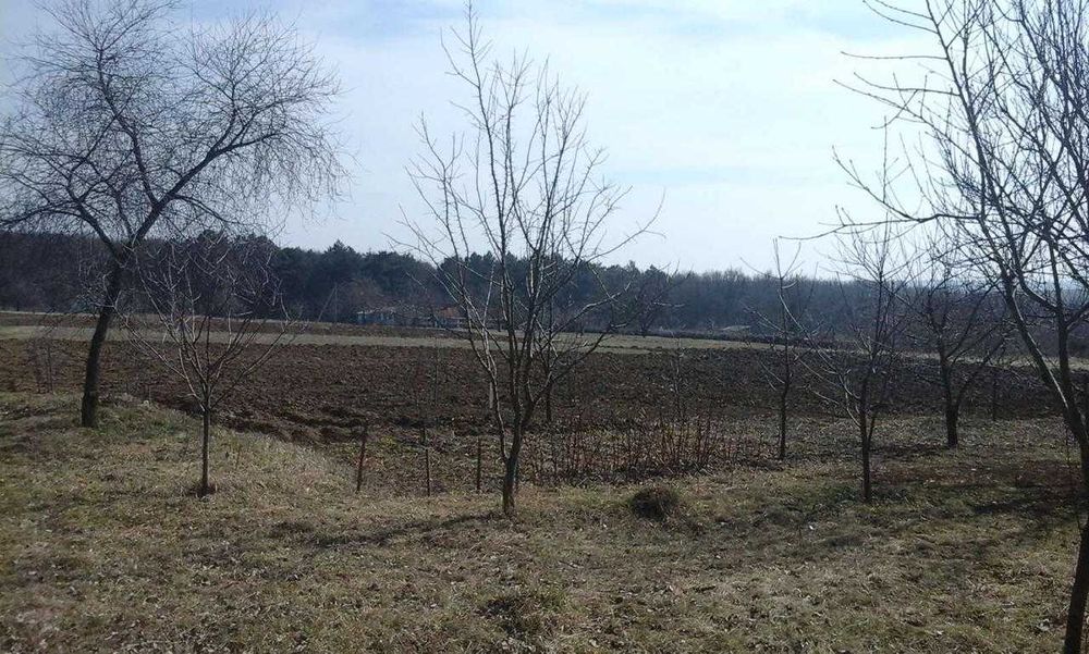 Продаю будинок в с. Нова Гута Кам'янець-Подільського району