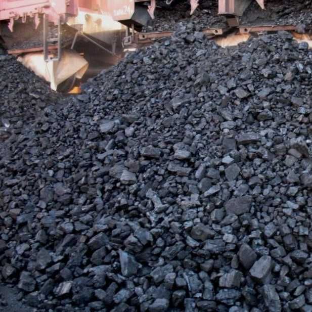 Вугілля брикети пелети тепло яке обирають господарі