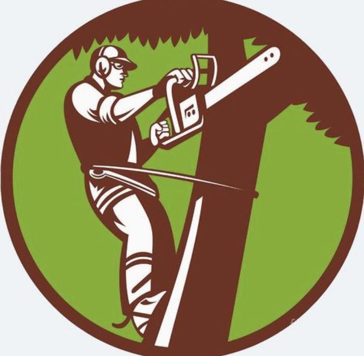 Зрізання дерев/арборист/порізка дров/викорчовування