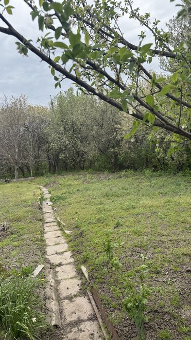 Продам дачу садове товариство «Барвінок»