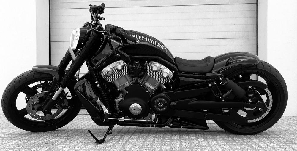 Harley Davison Vrood Muscle