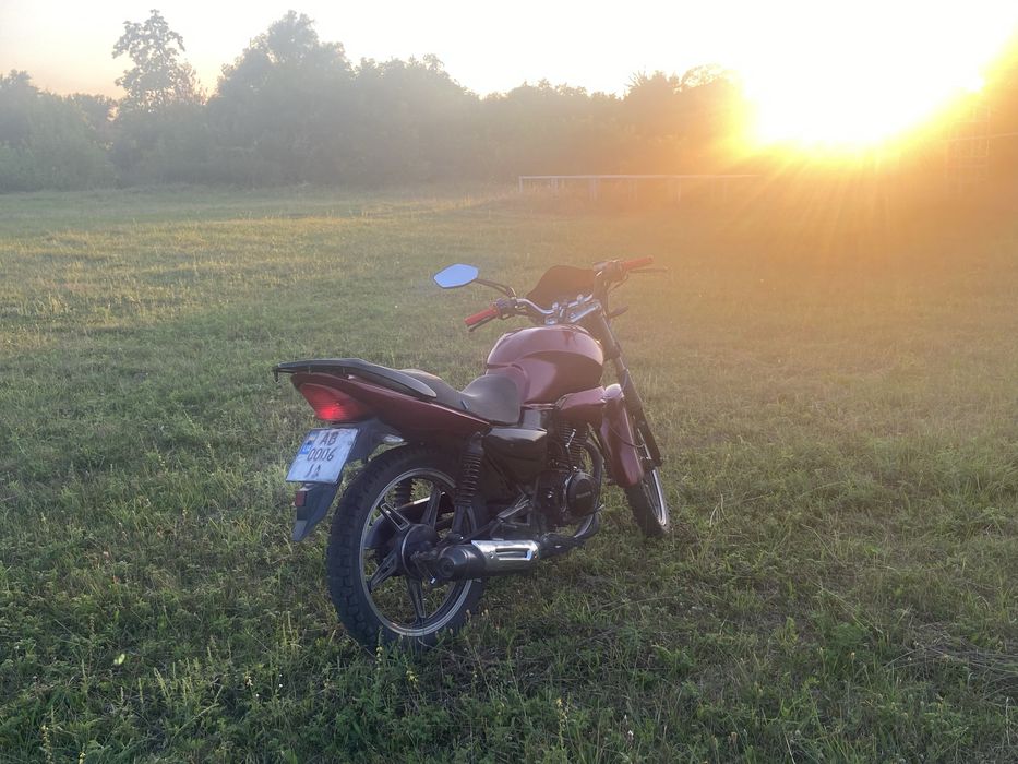 MUSSTANG Region MT150-8