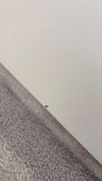 Cama individual/ dupla/ solteiro branca flekke