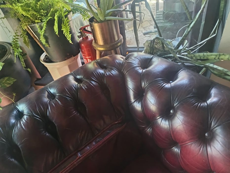 Sofa Chesterfield 2 sztuki