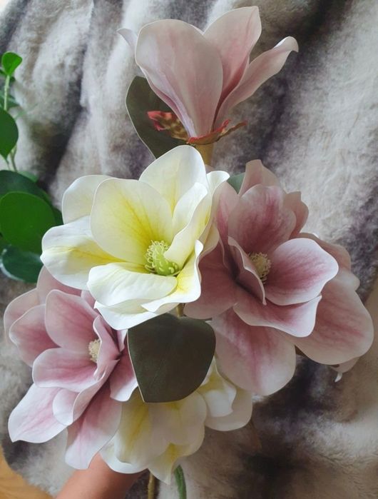 Kwiaty magnolii + gratis