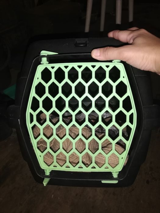 Переноска для тварин