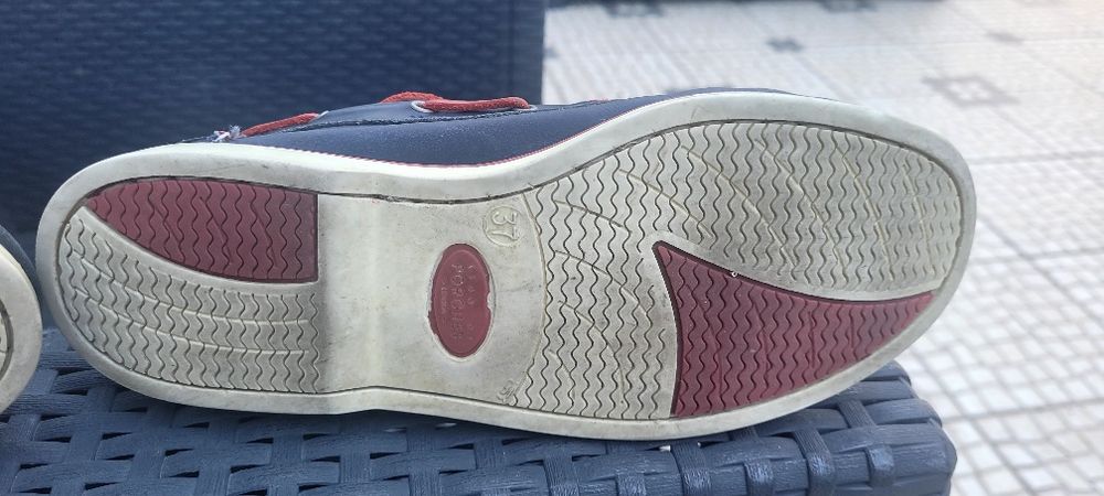 Sapato vela Lion of Porches 37