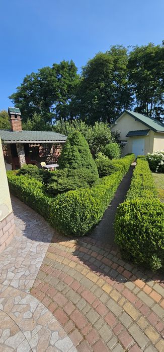 Будинок Маєток подобово з Сауной на дровах