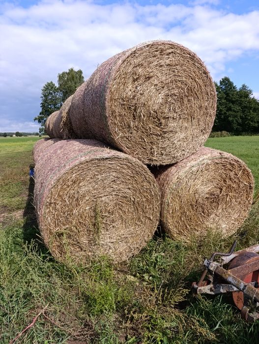 Sprzedam słomę zytnia bele 130