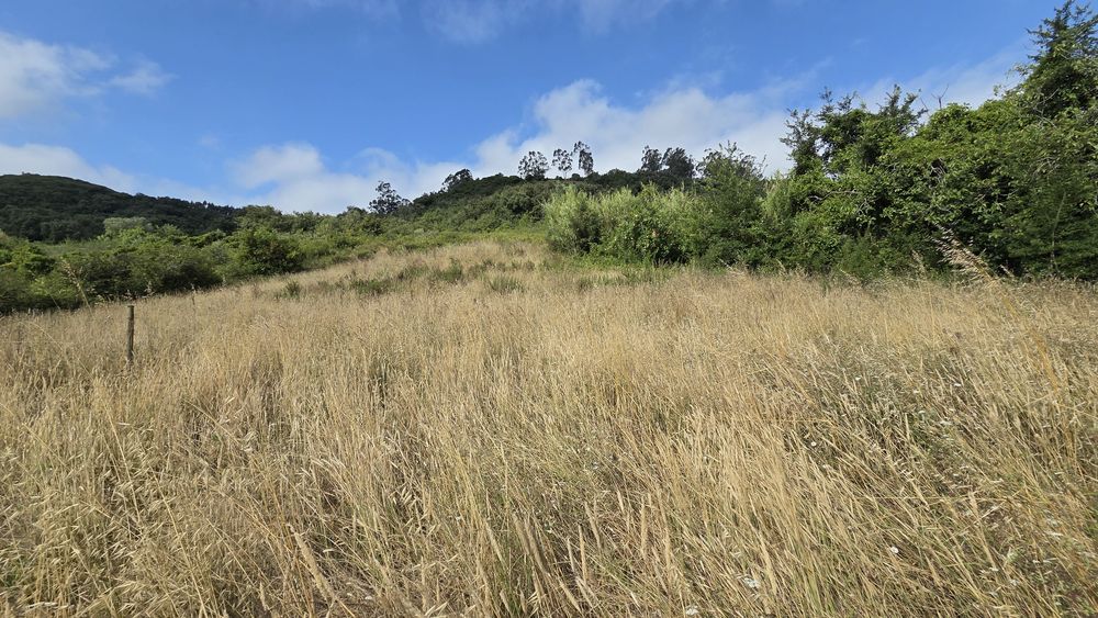 Armazém agrícola remodelado com terreno agrícola