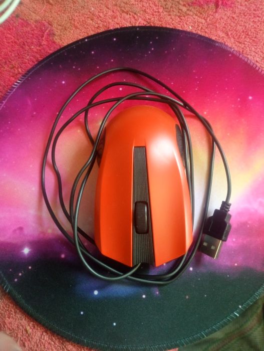 Мишка для комп'ютера та іншого