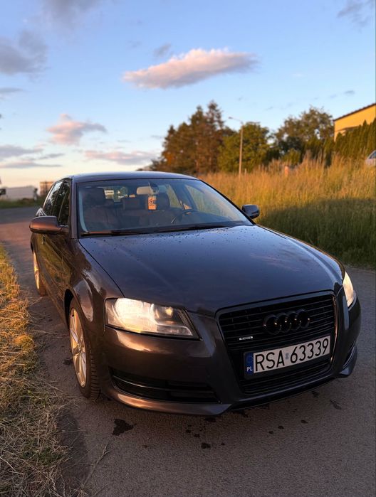 Audi A3 8P Quattro