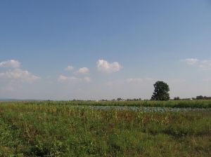 Продаж земельної ділянки