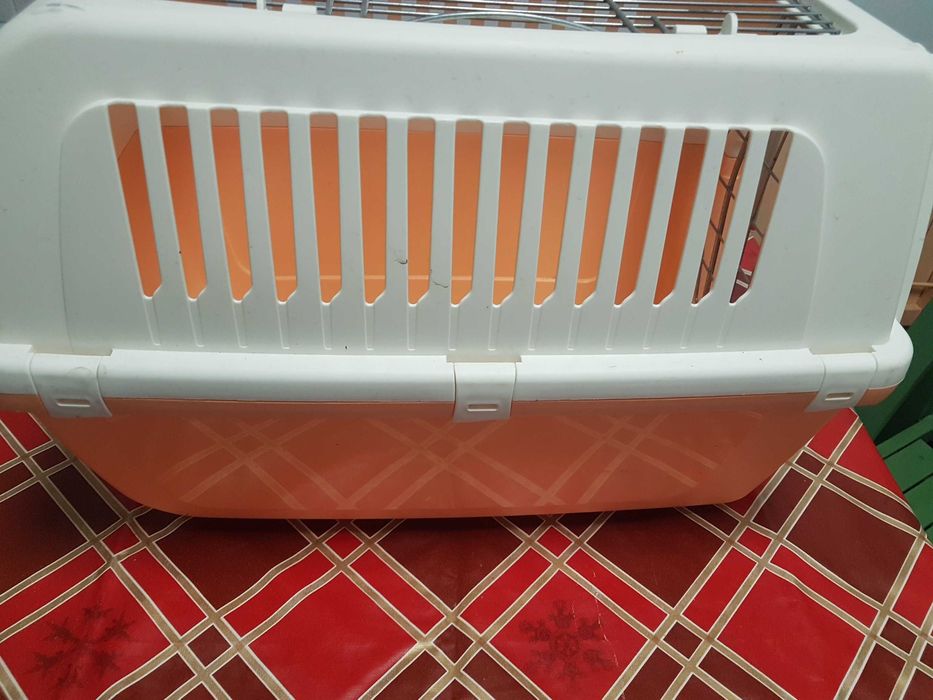 Caixa transporte gatos ou cães pequeno