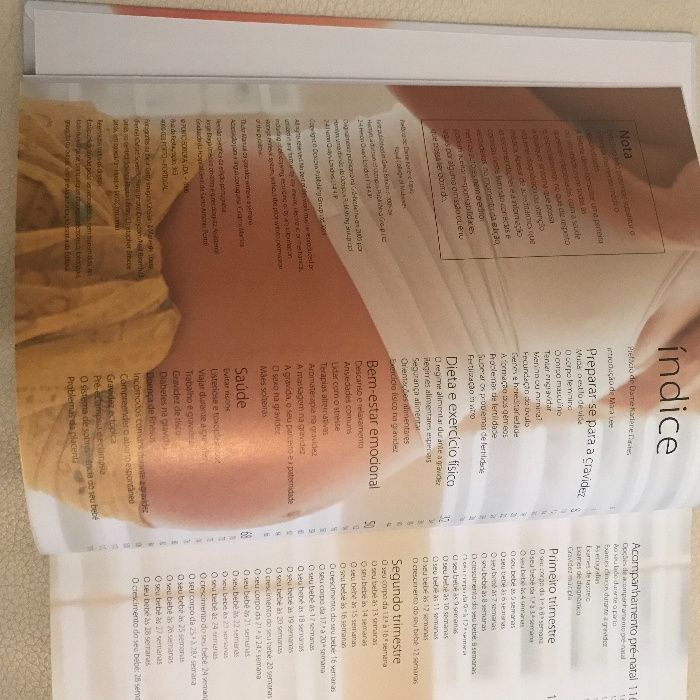 Manual da Gravidez, Semana a Semana