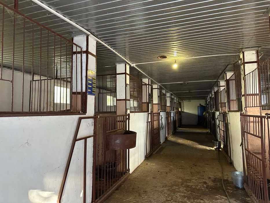 Продаж ранчо « Софія»