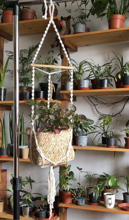 Кашпо кошики