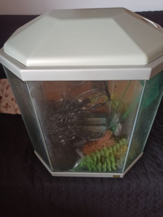 Aquário com acessórios