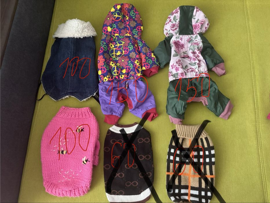 Одяг для собак.