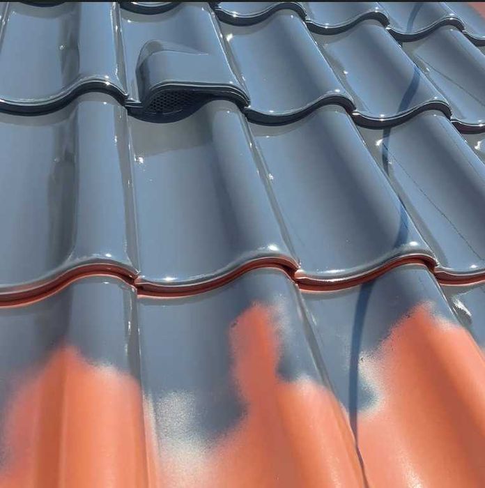 Malowanie i mycie dachów i elewacji . Mycie kostki brukowej