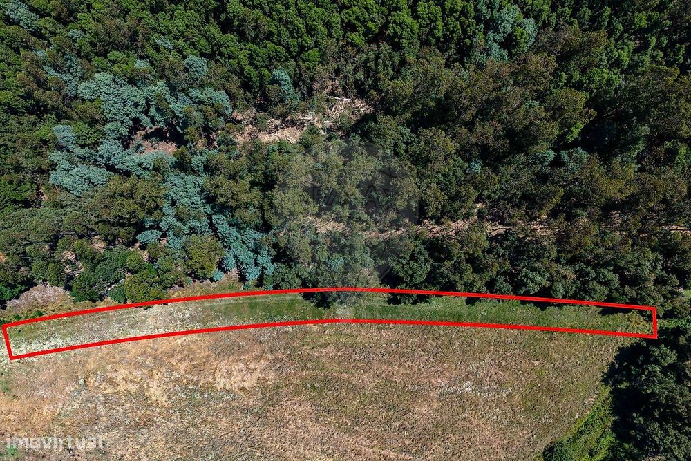 Rustic Land for Sale