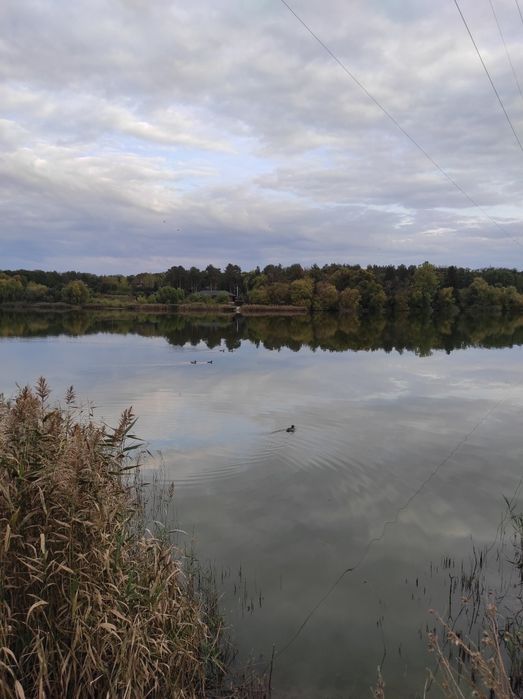 Будинок на березі водойми (Чайківка)