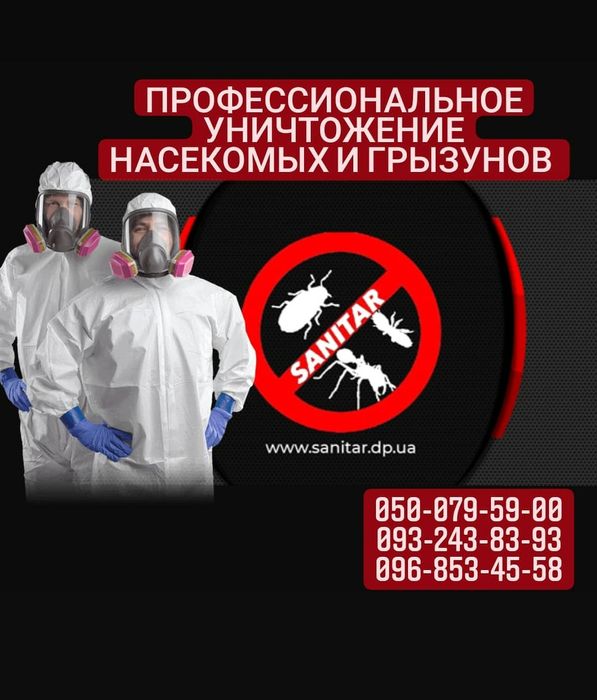 Профессиональное уничтожение,травля, потравить тараканов!