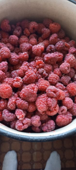 Сушеная  Клубника  ,Сушена Полуниця ,Малина ,Чипсы Клубники ,Ягоды