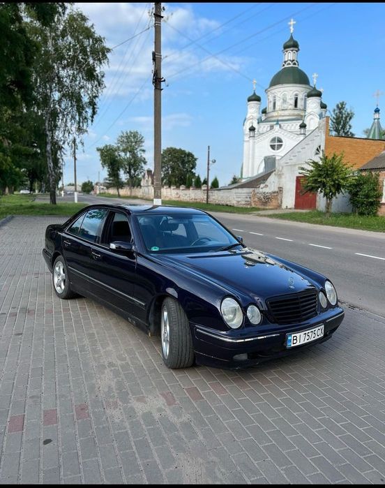 Продам надійного коня