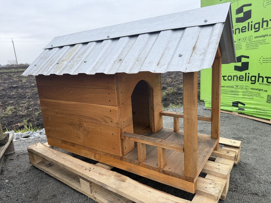 Собача бада нова дуб