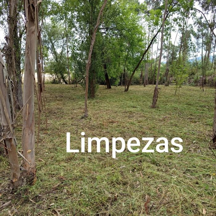 Limpezas e desbastes