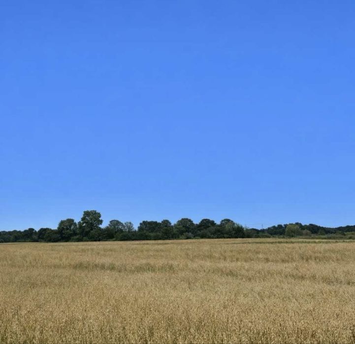 Zdjęcie 6