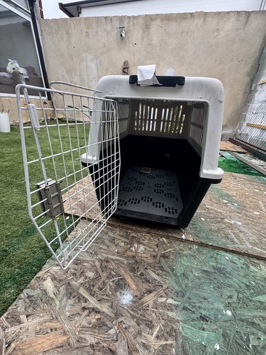Caixa de transponte cão