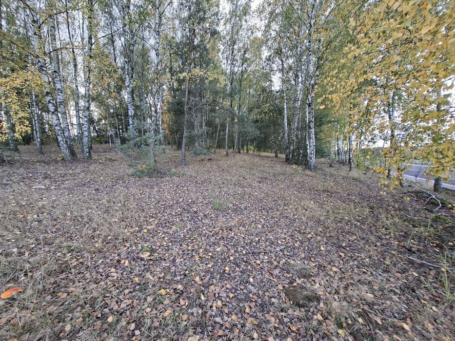 Działka Żelechlinek