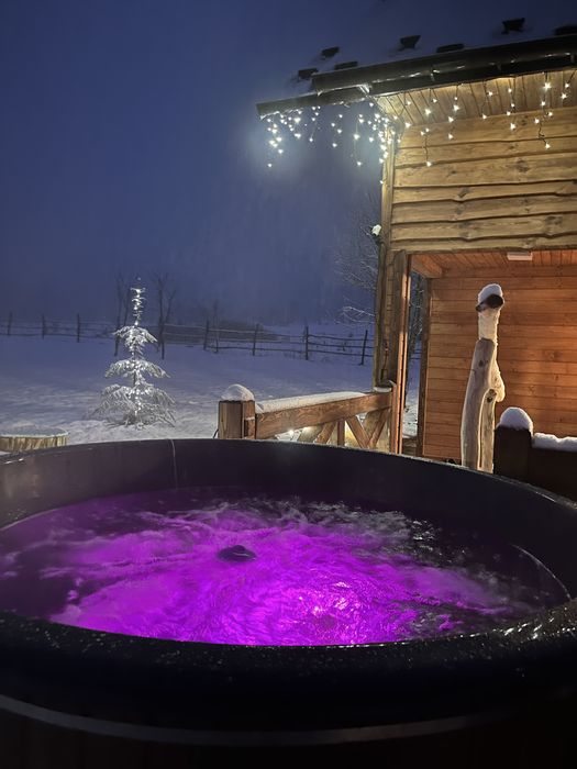 Котедж серед лісу  в Карпатах.  Риболовля. Чан.Сауна. Без сусідів.