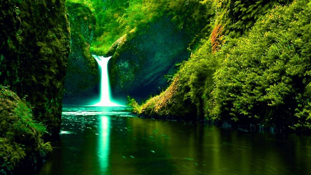 Чистка Сливных Ям.реставрация септиков.дренажное поле илосос.септик