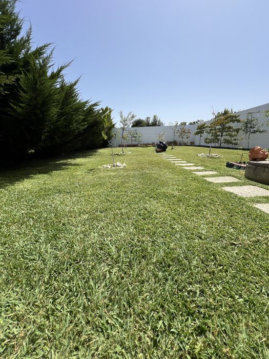 Jardinagem e Limpeza de Terrenos - Aveiro e região