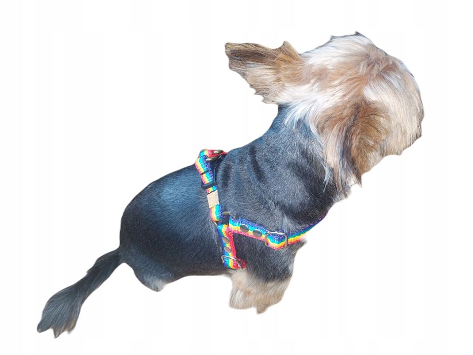 szelki dla małego psa ml 35/57 ozdobne sunka ultra