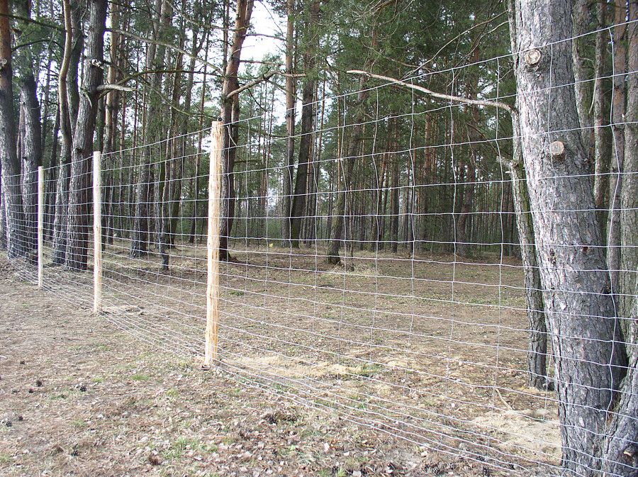 Ogrodzenia z siatki leśnej, siatka leśna