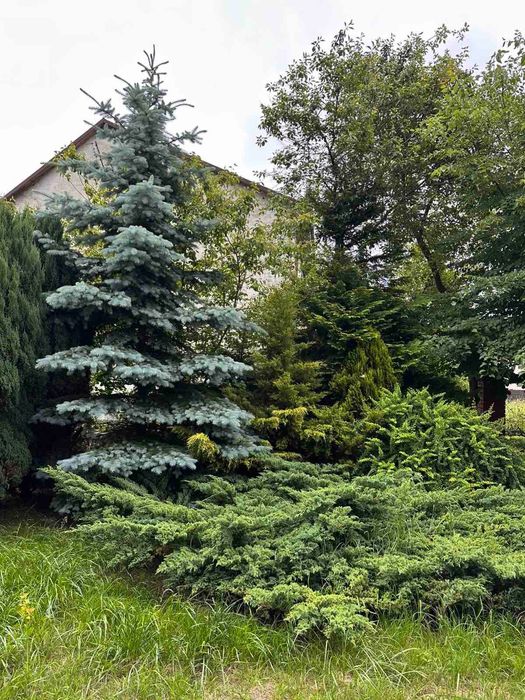 Продаж будинку Пустомити