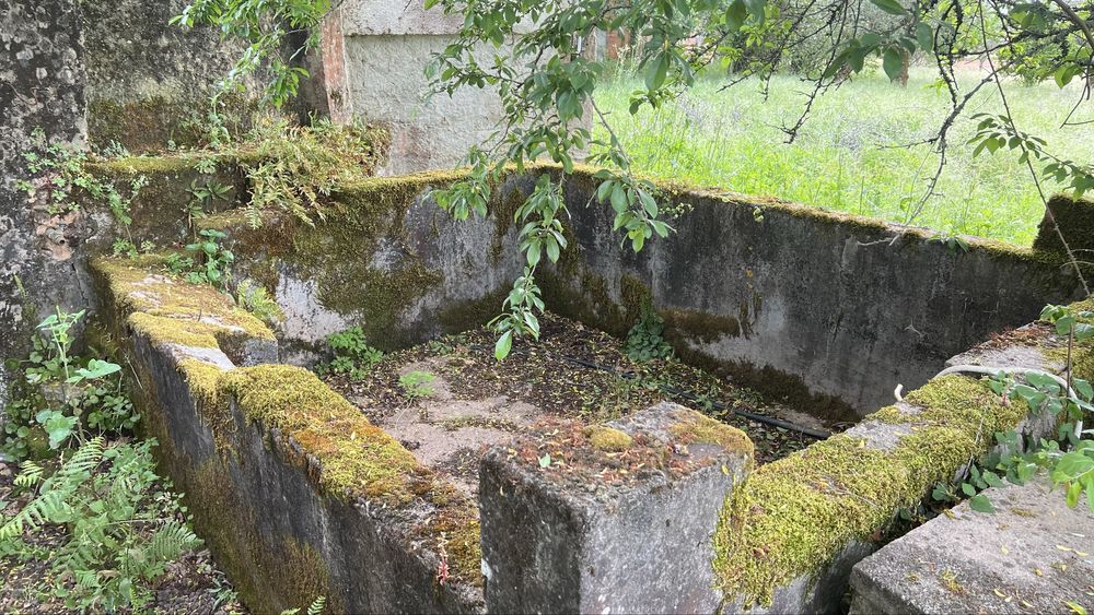 Venda Casa De Aldeia